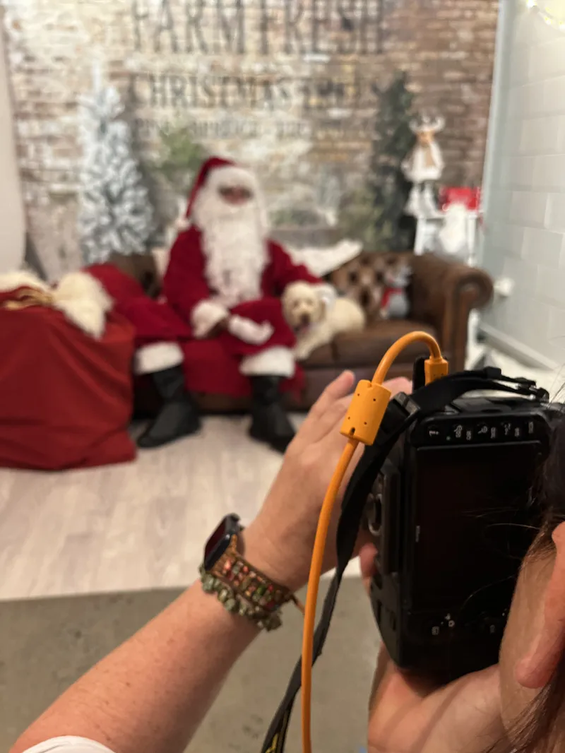 Santa and a child by the tree