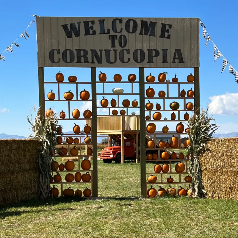 Cornucopia Field Trip Ticket