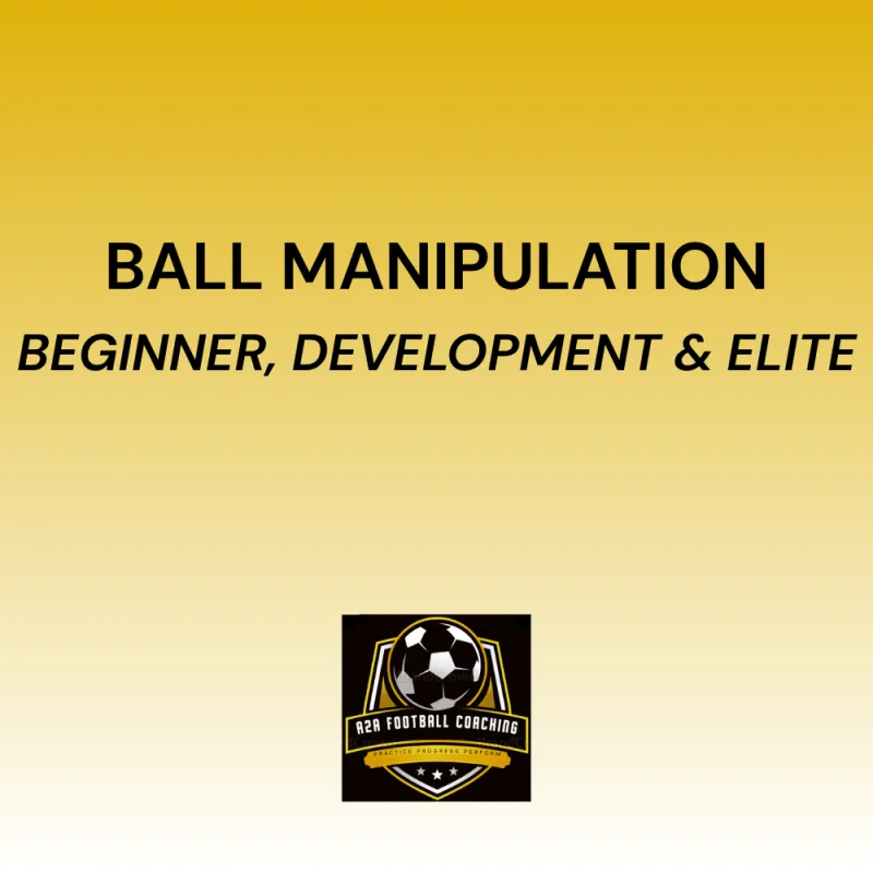 Ball Manipulation Online Coaching Programme