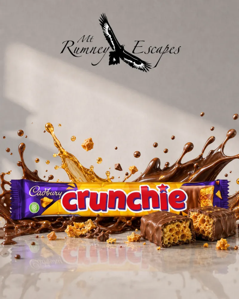 Cadbury Crunchie Chocolate Bar 50g