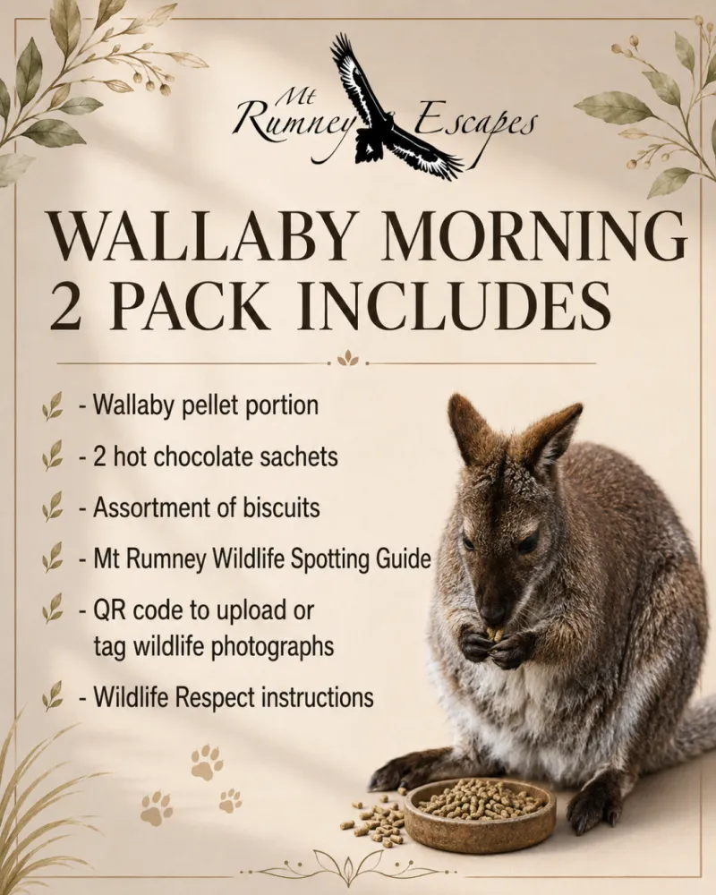 Wallaby Morning Pack – Mt Rumney Wildlife Experience