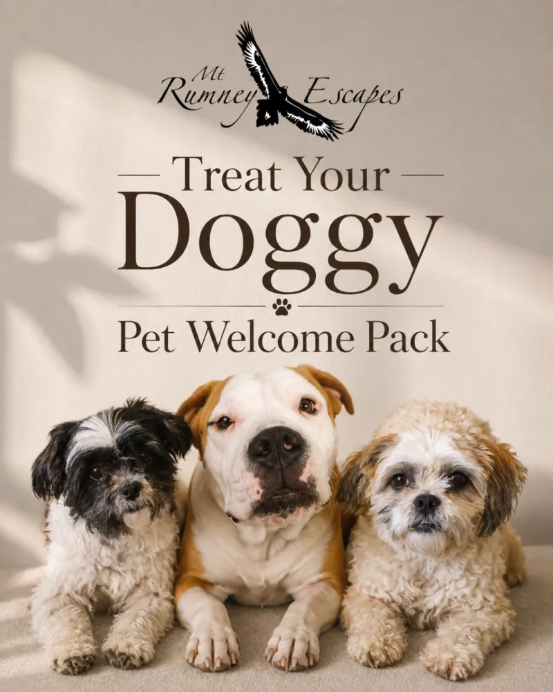 Treat Your Doggy Pet Welcome Pack