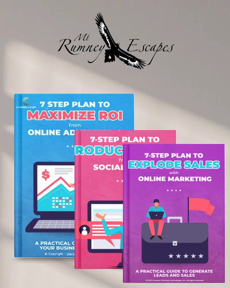The 7-Step Digital Success Playbook: Social Media, Advertising, and Marketing Mastery