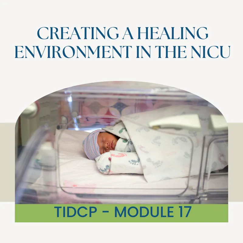 T.I.D.C.P.©: Module 17 - Creating a Healing Environment in the NICU