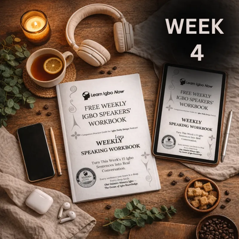 Week 4 Speaking Workbook — Practice Your Igbo Sentences