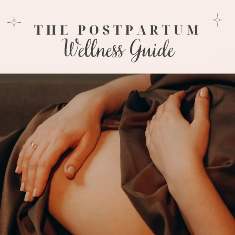Postpartum Wellness Guide