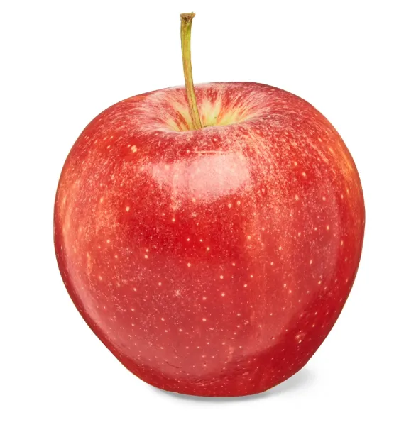 Fresh Gala Apple