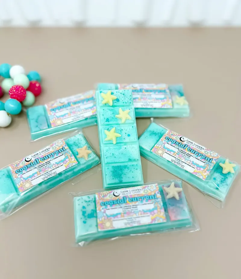 Coastal Current Snap Bar Wax Melts
