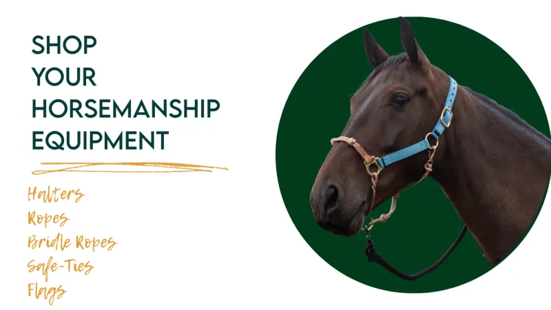 Shop Your Horsemanship's Essential Equipment