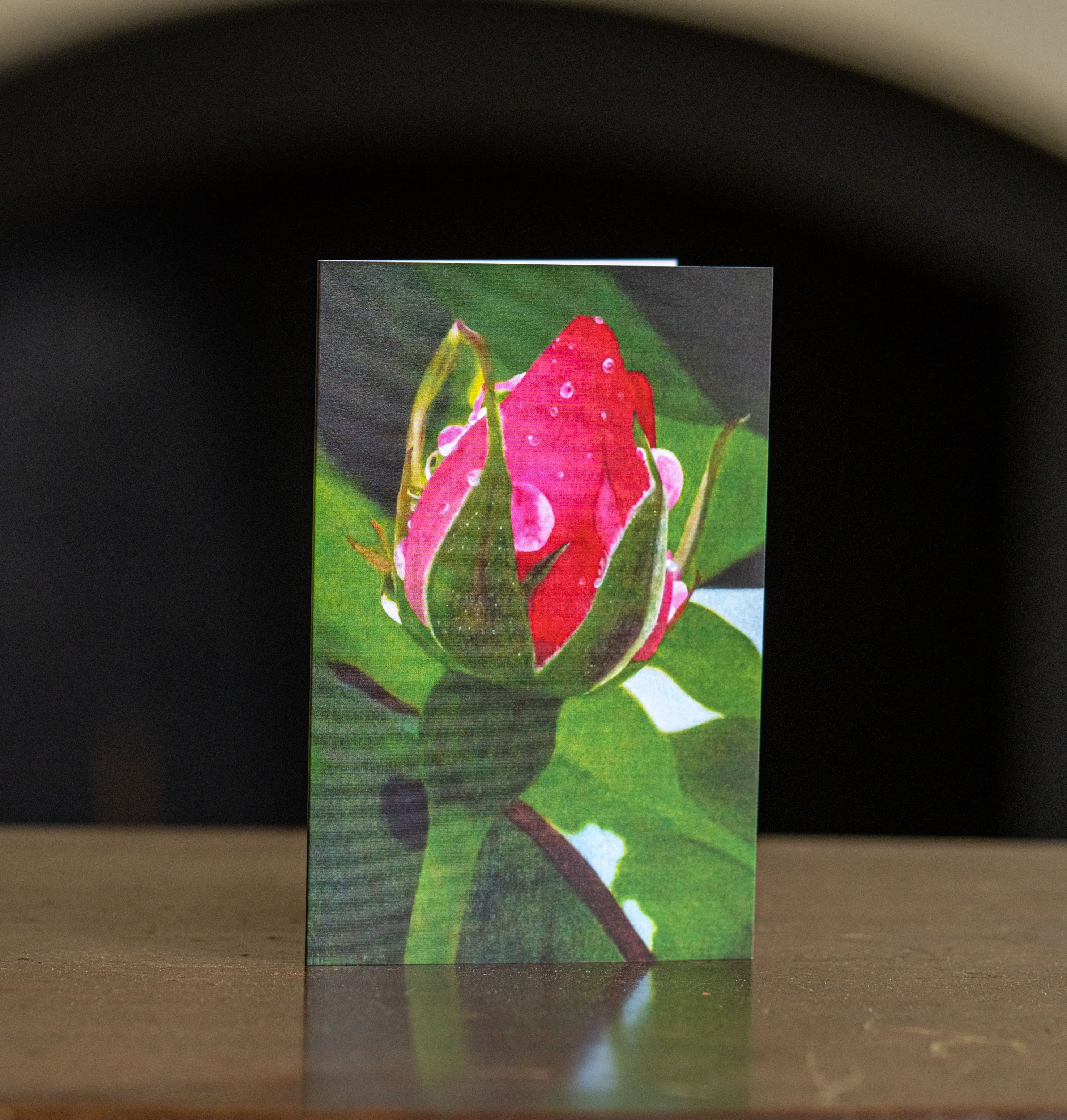 Greeting Cards (Set of 25 )