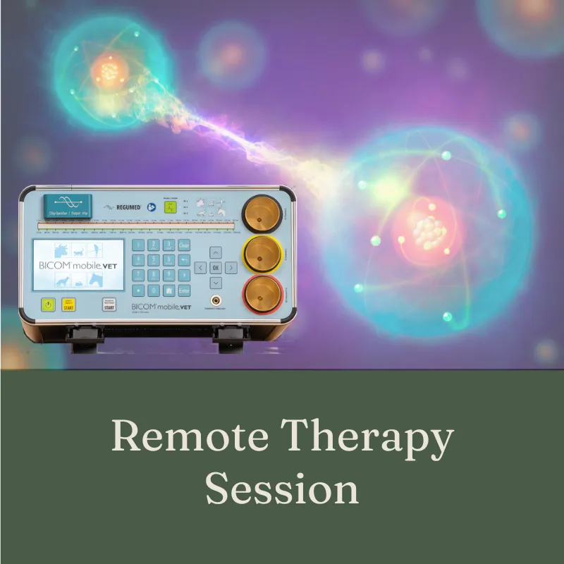Remote Therapy Session