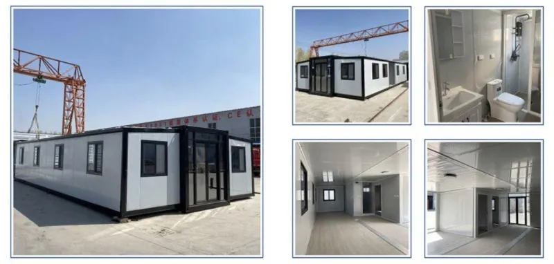 Black-and-White Expandable Container Home