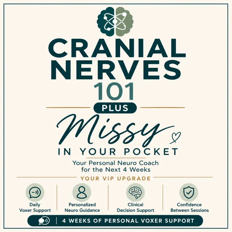 Cranial Nerves 101 + Missy In Your Pocket