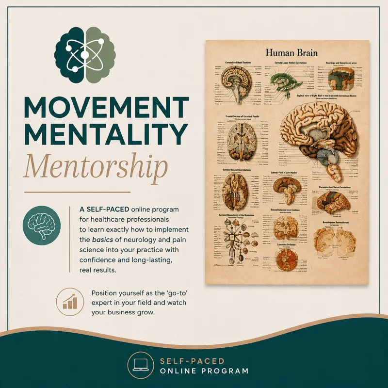 Movement Mentality Mentorship Self Paced Online Program