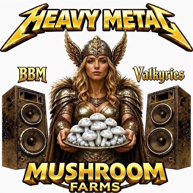 BBM Valkyries