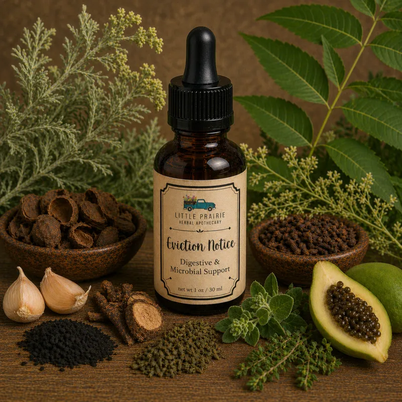 Eviction Notice | Digestive & Microbial Support