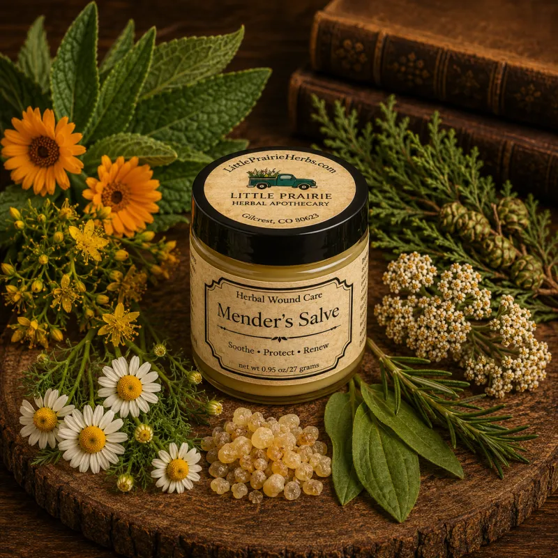 Wound Salve(Mender's Salve) - Herbal Wound Care