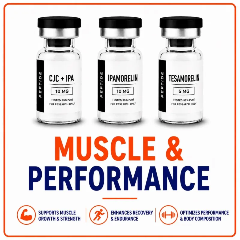 Muscle & Performance