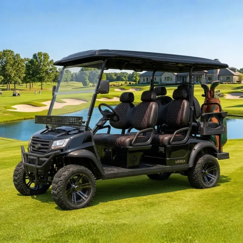 Golf Cart Verdi Malibu S6