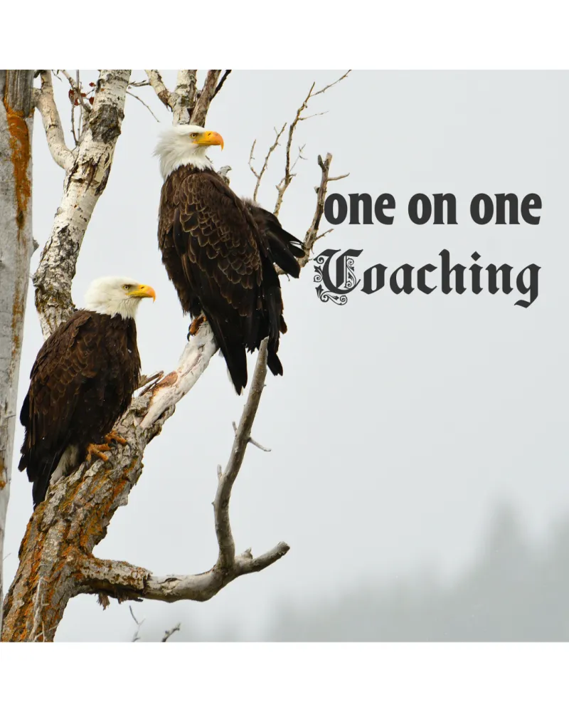 1:1 Coaching with Steve