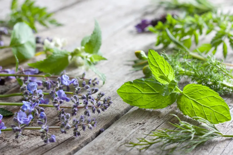 Herbal Sprays