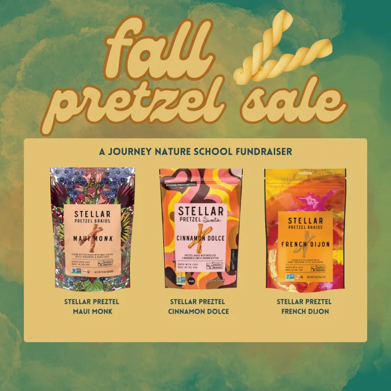 Stellar Pretzel Sale - JNS Fundraiser