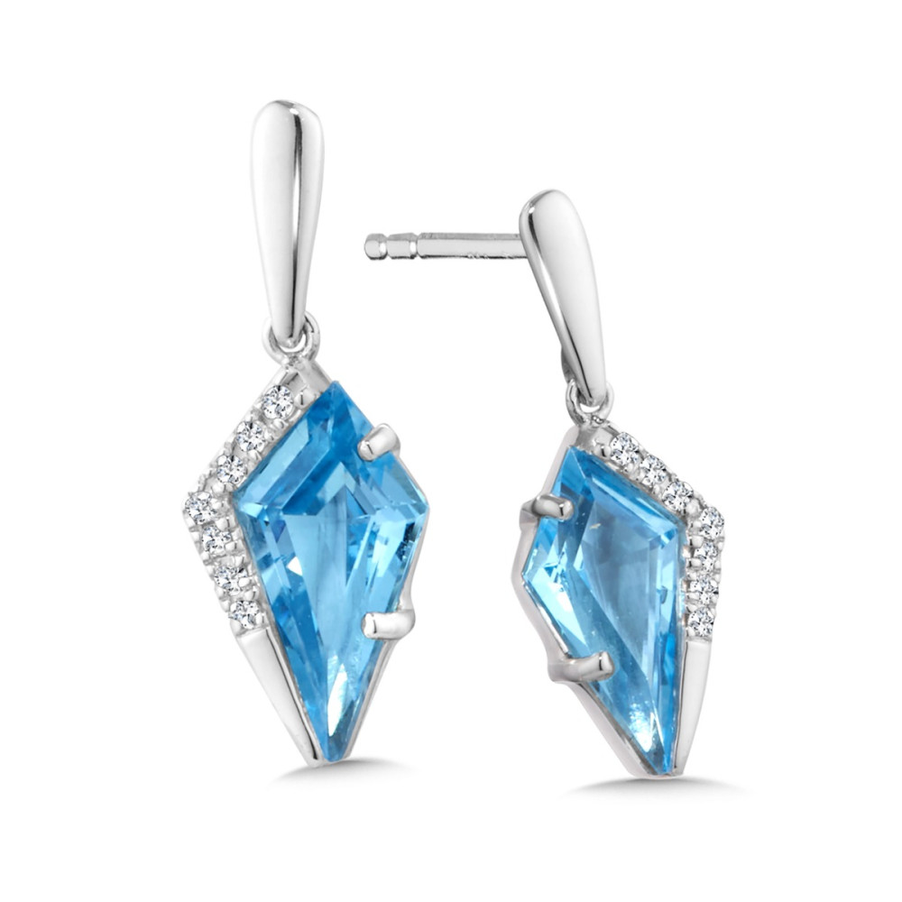 SDC Fashion Earrings
