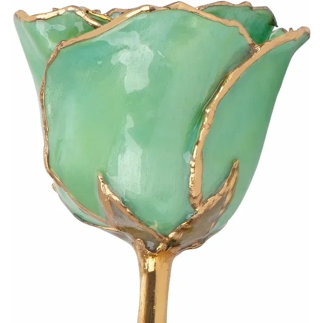 24kt Gold Dipped Rose