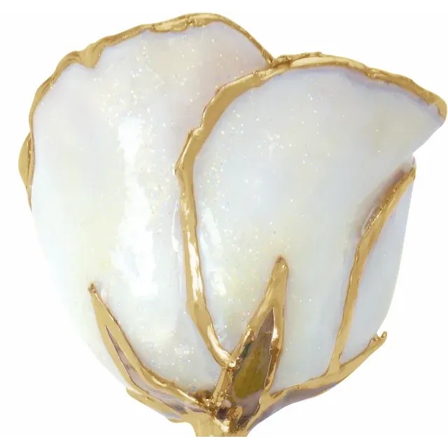 24K Gold Dipped Rose