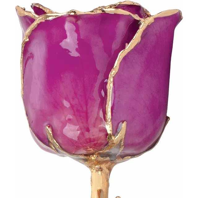 24kt Gold Dipped Rose