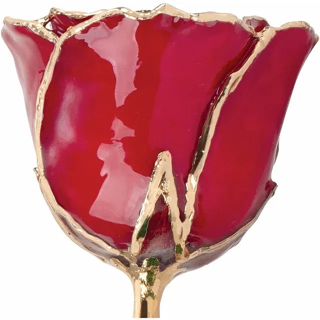 24kt Gold Dipped Rose