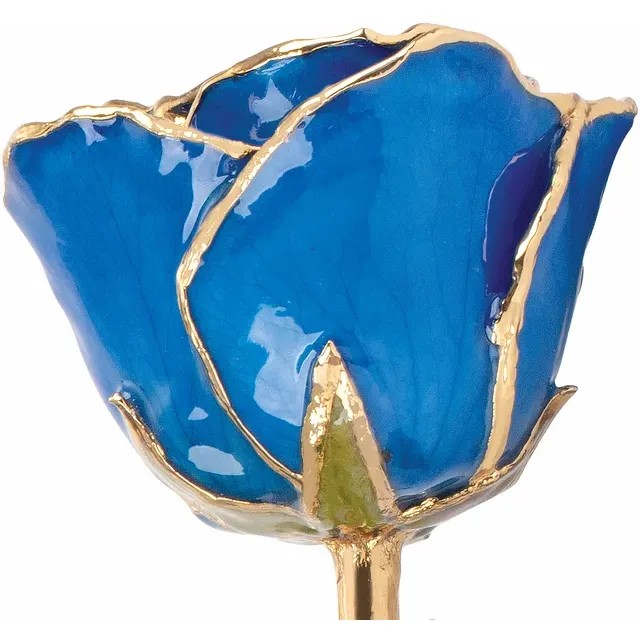 24kt Gold Dipped Rose