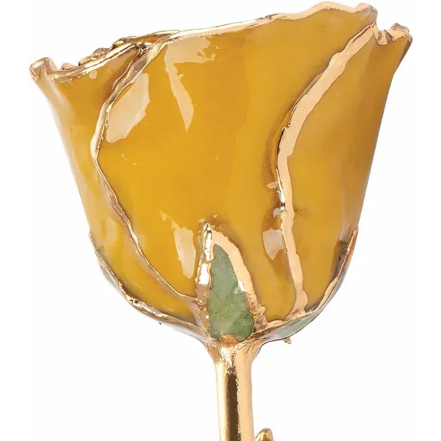 24kt Gold Dipped Rose