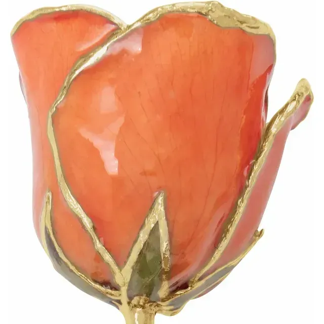 24kt Gold Dipped Rose
