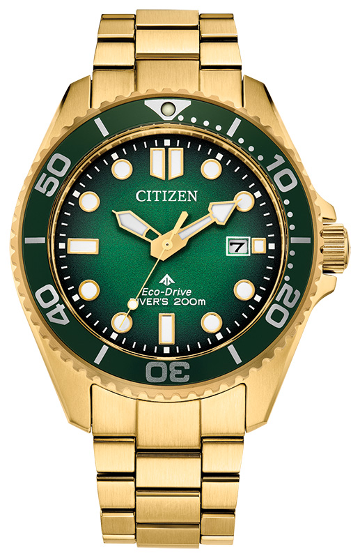 Citizen Eco Drive Watch