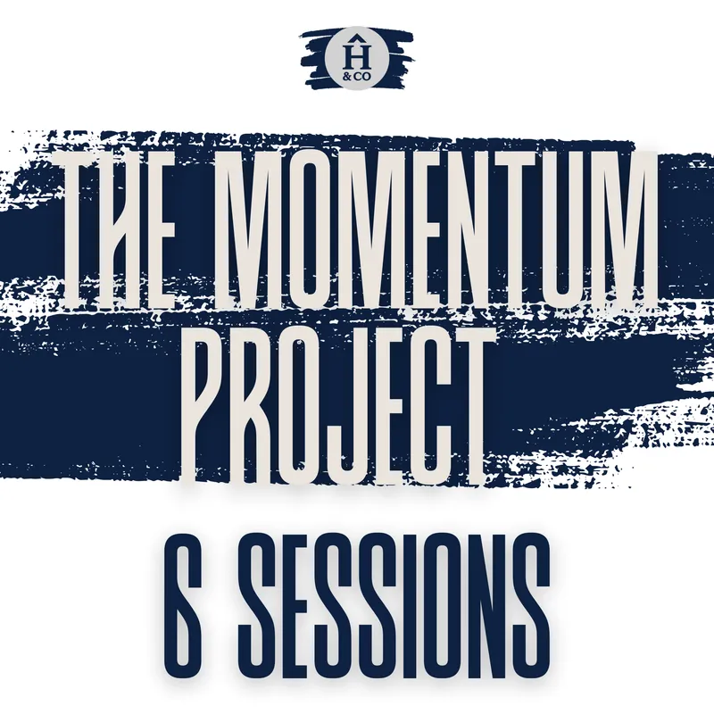 Momentum Project