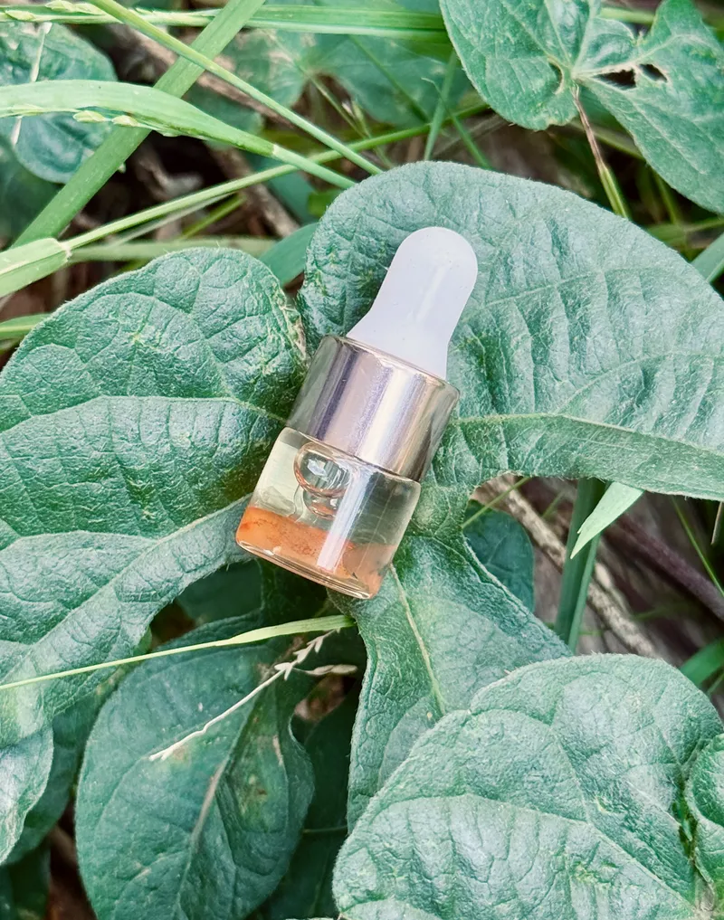 Virgo Oil