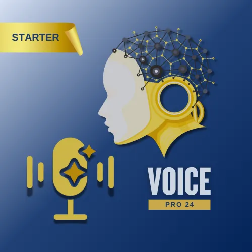 Voice Pro 24: Starter Plan