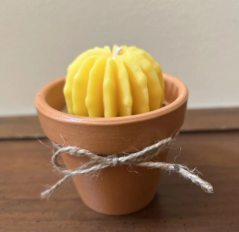 Desert Garden Candles 2