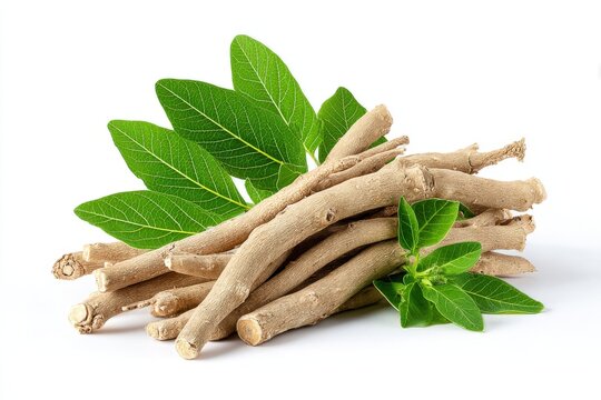 Herbal Remedies
