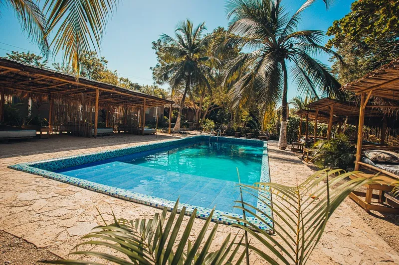 Piscina rodeada de palmeras