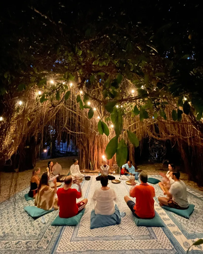 Gran árbol iluminado con luces, con un grupo sentado en círculo debajo