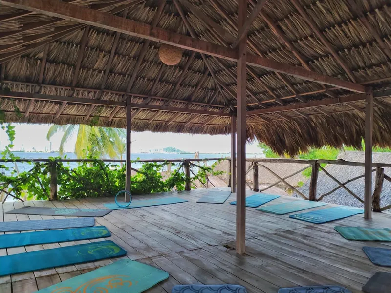 Sala de yoga techada de madera con esterillas, frente a la vegetación