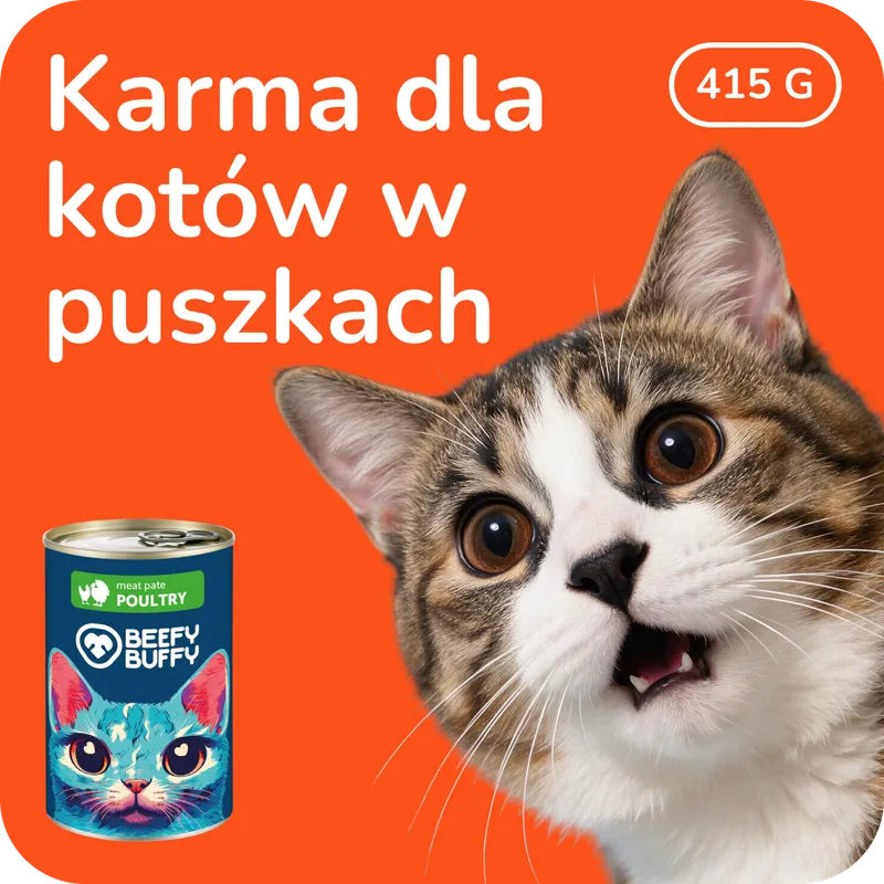 Mokra karma dla Kota 415 G