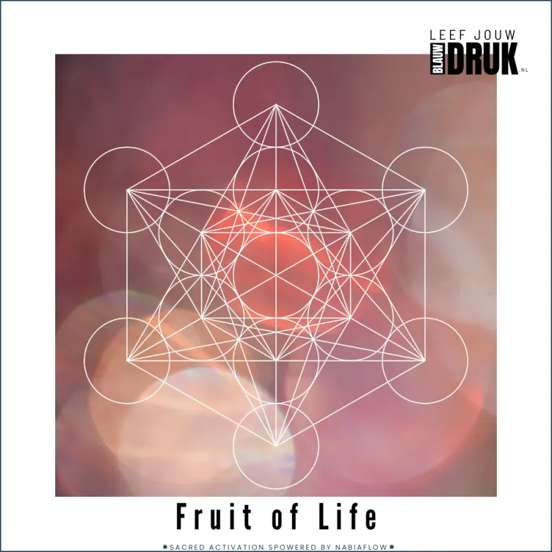FRUIT OF LIFE