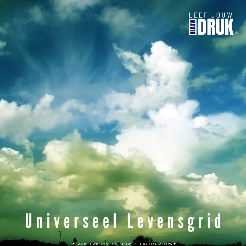 UNIVERSEEL LEVENSGRID