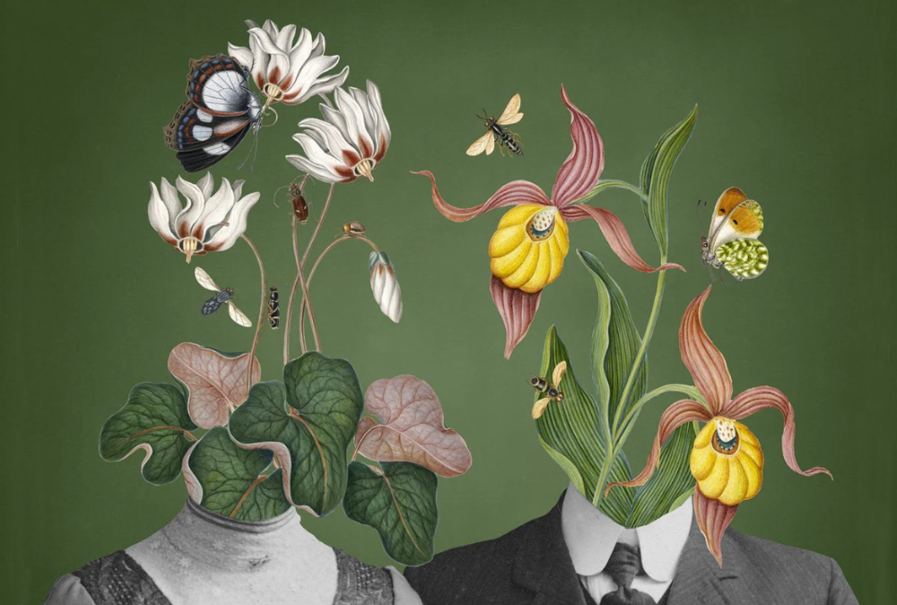 Artfulmind: An Afternoon Steeping 3pm