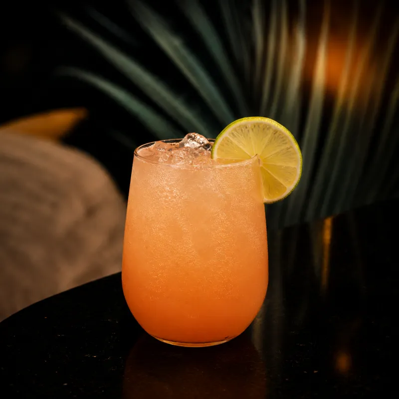 Paloma
