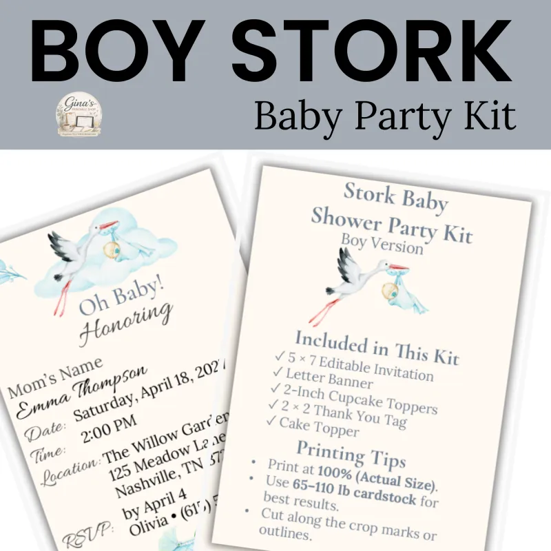 Boy Stork Baby Shower Party Kit