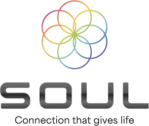 🌐 SOUL ADVANCE